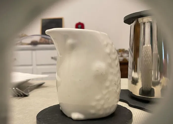 Aymon De Challant ゲストハウス